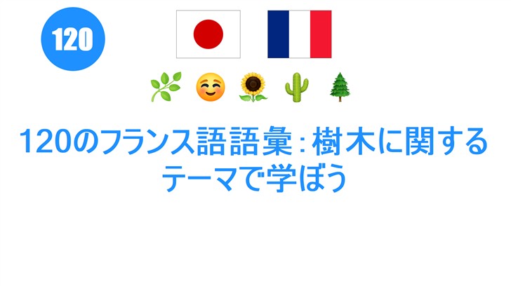 120のフランス語語彙：樹木に関するテーマで学ぼう